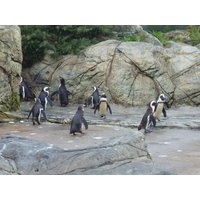 รูปถ่าย ฝรั่งเศส(France) เลอกรัวซิก(Le Croisic) โอเชียเรียม(Ocearium) 2009-10 0