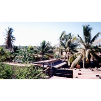 รูปถ่าย มาดากัสการ์(Madagascar) 1999-10 8