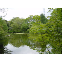 รูปถ่าย ไอร์แลนด์(Ireland) ดับลิน(Dublin) 2004-05 11