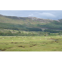 รูปถ่าย อังกฤษ(United Kingdom) เวสเตอร์รอสส์(Wester Ross) 2011-07 148