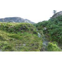 รูปถ่าย อังกฤษ(United Kingdom) เวสเตอร์รอสส์(Wester Ross) 2011-07 85
