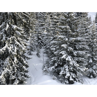 รูปถ่าย ฝรั่งเศส(France) ลากลูซา(La Clusaz) 2017-12 289