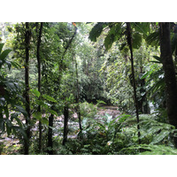 รูปถ่าย กวาเดอลูป(Guadeloupe) น้ำตกกุ้งเครย์ฟิช(Cascade aux ecrevisses) 2021-02 7