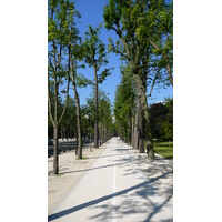 รูปถ่าย ฝรั่งเศส(France) ปารีส(Paris) สวนราเนอลาก(Jardins du Ranelagh) 2007-08 57