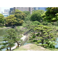 รูปถ่าย ญี่ปุ่น(Japan) โตเกียว(Tokyo) สวนคิวชิบะริคิว(Kyu Shiba rikyu Gardens) 2010-06 46