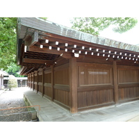รูปถ่าย ญี่ปุ่น(Japan) โตเกียว(Tokyo) สวนโยโยงิ(Yoyogi Park) 2010-06 7