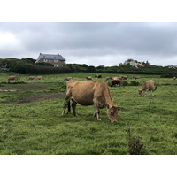 รูปถ่าย ฝรั่งเศส(France) เกาะเบรอา(Brehat Island) 2020-06 215