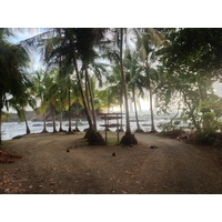 รูปถ่าย คอสตาริกา(Costa Rica) โดมินิกัล(Dominical) 2015-03 139