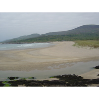 รูปถ่าย ไอร์แลนด์(Ireland) เคอร์รี่(Kerry) ปาร์คนาสิลล่า(Parknasilla) 2004-05 52