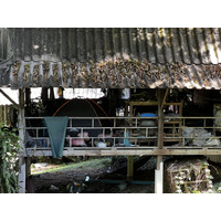 รูปถ่าย ไทย(Thailand) ภูเก็ต(Phuket) หาดกะตะ(Kata Beach) กะตะการ์เด้นรีสอร์ต(Kata Garden Resort) 2021-12 27