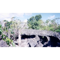 รูปถ่าย มาดากัสการ์(Madagascar) ทีซินกี(Tsingy) 1999-10 6