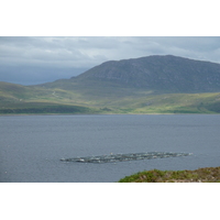 รูปถ่าย อังกฤษ(United Kingdom) เวสเตอร์รอสส์(Wester Ross) 2011-07 116