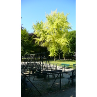 รูปถ่าย ฝรั่งเศส(France) ปารีส(Paris) สวนราเนอลาก(Jardins du Ranelagh) 2007-08 47