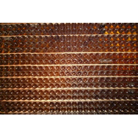 รูปถ่าย ฝรั่งเศส(France) มงบาซียัก(Monbazillac) 2010-08 58