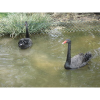 รูปถ่าย ฝรั่งเศส(France) ปารีส(Paris) สวนบาตีญอล(Square des Batignolles) 2006-04 10
