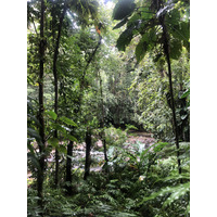 รูปถ่าย กวาเดอลูป(Guadeloupe) น้ำตกกุ้งเครย์ฟิช(Cascade aux ecrevisses) 2021-02 17