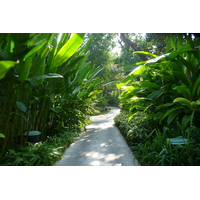 รูปถ่าย ไทย(Thailand) เกาะเสม็ด(Ko Samet) เลอวิมาน คอทเทจ แอนด์ สปา(Le Vimarn Cottage and Spa) 2009-01 10