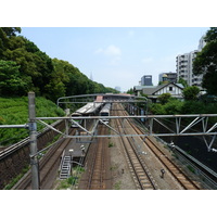 รูปถ่าย ญี่ปุ่น(Japan) โตเกียว(Tokyo) สวนโยโยงิ(Yoyogi Park) 2010-06 3