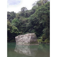 รูปถ่าย คอสตาริกา(Costa Rica) แม่น้ำปากัวเร(Pacuare River) 2015-03 268