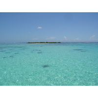 รูปถ่าย เฟรนช์โพลี่นีเซีย(Polynesia) มูเรีย(Moorea) 2006-04 91