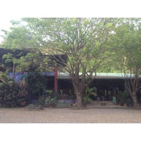 รูปถ่าย คอสตาริกา(Costa Rica) โดมินิกัล(Dominical) 2015-03 89
