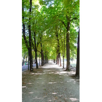 รูปถ่าย ฝรั่งเศส(France) ปารีส(Paris) สวนราเนอลาก(Jardins du Ranelagh) 2007-08 46