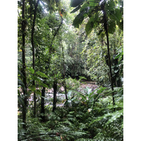 รูปถ่าย กวาเดอลูป(Guadeloupe) น้ำตกกุ้งเครย์ฟิช(Cascade aux ecrevisses) 2021-02 14