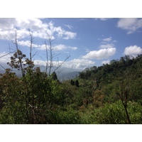 รูปถ่าย คอสตาริกา(Costa Rica) ตูร์รีอัลบา(Turrialba) 2015-03 36