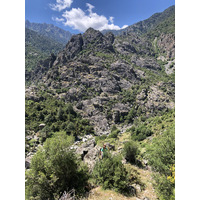 รูปถ่าย ฝรั่งเศส(France) คอร์สิคา(Corsica) ป่าไอโตเน(Aitone Forest) 2021-06 60