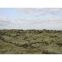 รูปถ่าย ไอซ์แลนด์(Iceland) ถนนหมายเลข 1 จากโยกุลซาร์เลานไปวีก(Road 1 Jokulsarlon to vik) 2003-06 20