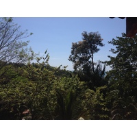 รูปถ่าย คอสตาริกา(Costa Rica) มานวยล์อันโตนีโอ(Manuel Antonio) 2015-03 468