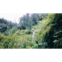 รูปถ่าย มาดากัสการ์(Madagascar) 1999-10 25