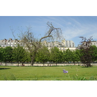 รูปถ่าย ฝรั่งเศส(France) ปารีส(Paris) สวนตุยเลอรี(Garden of Tuileries) 2007-05 136