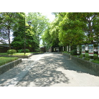 รูปถ่าย ญี่ปุ่น(Japan) โตเกียว(Tokyo) สวนคิวชิบะริคิว(Kyu Shiba rikyu Gardens) 2010-06 0