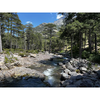 รูปถ่าย ฝรั่งเศส(France) คอร์สิคา(Corsica) อัสโก(Asco) 2023-06 47