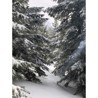 รูปถ่าย ฝรั่งเศส(France) เมแฌฟว์(Megeve) 2019-03 0