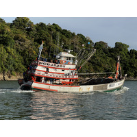 รูปถ่าย ไทย(Thailand) เรือเฟอร์รีจากเกาะพีพีไปภูเก็ต(Ko Phi Phi to Phuket Ferry) 2021-12 15