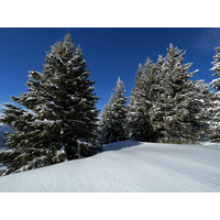 รูปถ่าย ฝรั่งเศส(France) เมแฌฟว์(Megeve) 2022-02 68