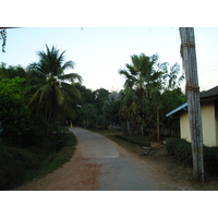 รูปถ่าย ไทย(Thailand) พิษณุโลก(Phitsanulok) ถนนจอมทอง(Jomthong Road) 2008-01 30