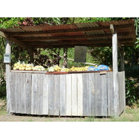 รูปถ่าย นิวแคลิโดเนีย(New Caledonia) ถนนจากกานาลาไปลาฟัว(Canala to La Foa road) 2010-05 41