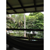 รูปถ่าย คอสตาริกา(Costa Rica) มอนเตซูมา(Montezuma) 2015-03 590
