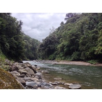 รูปถ่าย คอสตาริกา(Costa Rica) แม่น้ำปากัวเร(Pacuare River) 2015-03 53