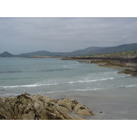 รูปถ่าย ไอร์แลนด์(Ireland) เคอร์รี่(Kerry) ปาร์คนาสิลล่า(Parknasilla) 2004-05 16
