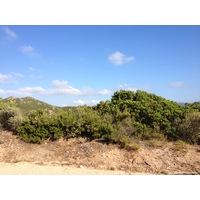 รูปถ่าย อิตาลี(Italy) ซาร์ดิเนีย(Sardinia) กอสตาปาราดีโซ(Costa Paradiso) 2015-06 6