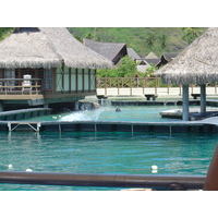 รูปถ่าย เฟรนช์โพลี่นีเซีย(Polynesia) มูเรีย(Moorea) 2006-04 63