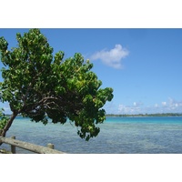 รูปถ่าย เฟรนช์โพลี่นีเซีย(Polynesia) โบราโบรา(Bora Bora) 2006-04 120