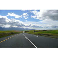 รูปถ่าย แอฟริกาใต้(South Africa) ถนนจากเฮอร์มานัสไปไนส์นา(Harmanus to Knysna road) 2008-09 43
