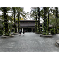 รูปถ่าย สิงคโปร์(Singapore) สวนพฤกษศาสตร์สิงคโปร์(Singapore Botanic Gardens) 2023-01 100