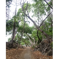 รูปถ่าย คอสตาริกา(Costa Rica) มอนเตซูมา(Montezuma) 2015-03 442