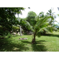 รูปถ่าย เซเชลส์(Seychelles) เกาะกร็องด์เซอร์(Grande Soeur) 2011-10 87